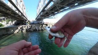 С берега и в протоках: рыбалка с Михалычем на реке Мацеста