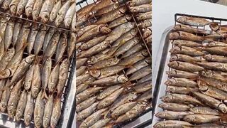 Мой улов в Архипо-Осиповке и короткая вечерняя рыбалка