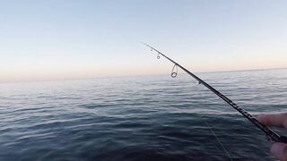 Архипо-Осиповка скорпена на микроджиг рокфишинг у волнорезов