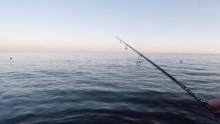 Архипо-Осиповка скорпена на микроджиг рокфишинг у волнорезов