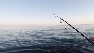 Архипо-Осиповка скорпена на микроджиг рокфишинг у волнорезов