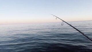 Архипо-Осиповка скорпена на микроджиг рокфишинг у волнорезов