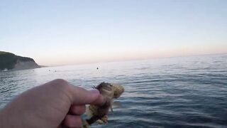 Архипо-Осиповка скорпена на микроджиг рокфишинг у волнорезов