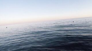 Архипо-Осиповка скорпена на микроджиг рокфишинг у волнорезов