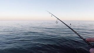 Архипо-Осиповка скорпена на микроджиг рокфишинг у волнорезов