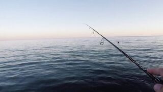 Архипо-Осиповка скорпена на микроджиг рокфишинг у волнорезов