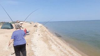 Азовские бровки и Пересыпь - морская рыбалка на Голубицкой косе