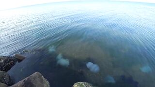 После переезда в край рыбалка в Тамани и где теперь искать рыбу