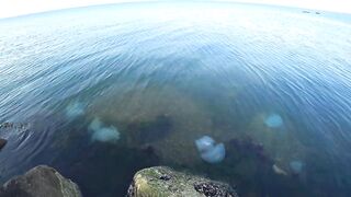 После переезда в край рыбалка в Тамани и где теперь искать рыбу