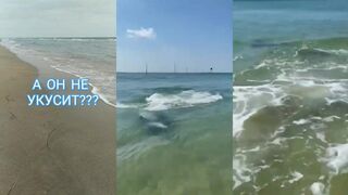 Что он творит на Тамани и где тут рыбалка реально работает?