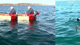 В Керчи своя атмосфера, морская рыбалка, чайки и старые пирсы