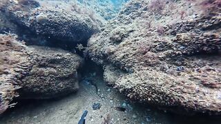 Керчь осенью: подводная охота и рыбалка на рынке свежего улова