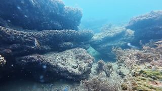 Керчь осенью: подводная охота и рыбалка на рынке свежего улова