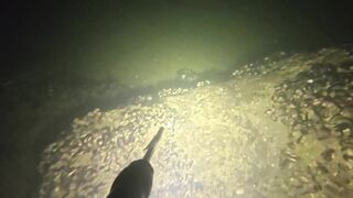 Керчь осенью: подводная охота и рыбалка на рынке свежего улова