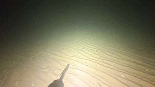 Керчь осенью: подводная охота и рыбалка на рынке свежего улова