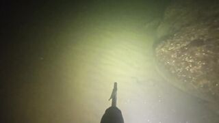 Керчь осенью: подводная охота и рыбалка на рынке свежего улова