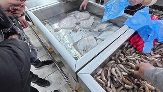 Керчь осенью: подводная охота и рыбалка на рынке свежего улова