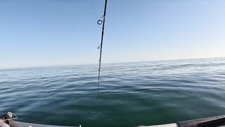 Бычок на Азовском у Керчи - рабочие точки и насадки