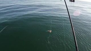 Бычок на Азовском у Керчи - рабочие точки и насадки