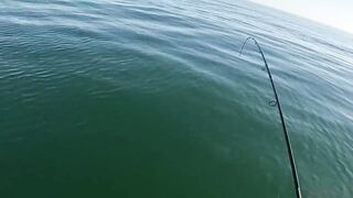 Бычок на Азовском у Керчи - рабочие точки и насадки