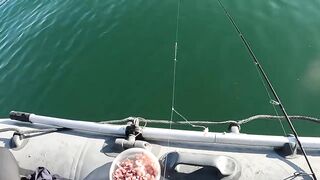 Бычок на Азовском у Керчи - рабочие точки и насадки