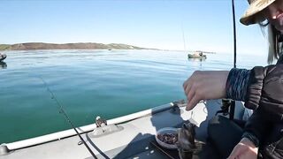 Бычок на Азовском у Керчи - рабочие точки и насадки