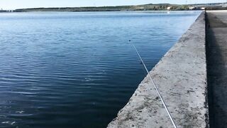 Набережная Керчи морская рыбалка в Керчи на вечерней струе