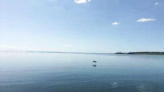 Набережная Керчи морская рыбалка в Керчи на вечерней струе