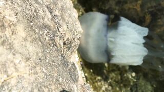 Набережная Керчи морская рыбалка в Керчи на вечерней струе