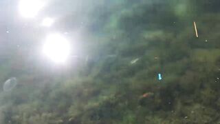 Набережная Керчи морская рыбалка в Керчи на вечерней струе