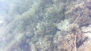 Набережная Керчи морская рыбалка в Керчи на вечерней струе