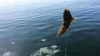 Набережная Керчи морская рыбалка в Керчи на вечерней струе