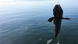 Набережная Керчи морская рыбалка в Керчи на вечерней струе