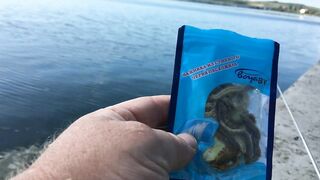 Набережная Керчи морская рыбалка в Керчи на вечерней струе