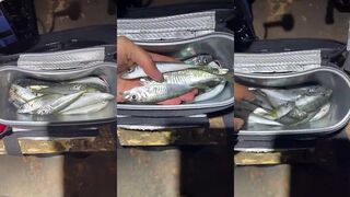 Гурзуф ультралайт морская рыбалка в Крыму ставрида у фонарей