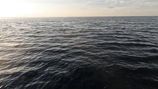 Сарган встал на ход - морская рыбалка в Гурзуфе по сезону