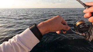 Сарган встал на ход - морская рыбалка в Гурзуфе по сезону