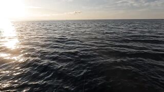 Сарган встал на ход - морская рыбалка в Гурзуфе по сезону