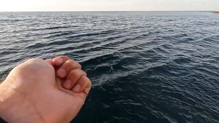 Сарган встал на ход - морская рыбалка в Гурзуфе по сезону