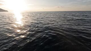 Сарган встал на ход - морская рыбалка в Гурзуфе по сезону