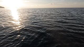 Сарган встал на ход - морская рыбалка в Гурзуфе по сезону