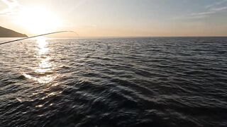 Сарган встал на ход - морская рыбалка в Гурзуфе по сезону