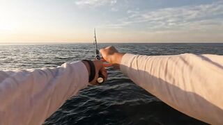 Сарган встал на ход - морская рыбалка в Гурзуфе по сезону