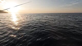 Сарган встал на ход - морская рыбалка в Гурзуфе по сезону