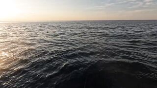 Сарган встал на ход - морская рыбалка в Гурзуфе по сезону