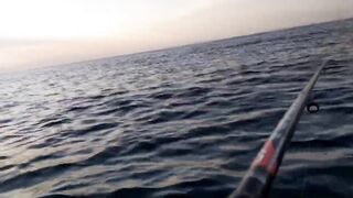 Гурзуф на воде - морская рыбалка на ставриду с лодки без суеты