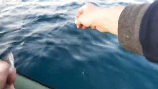Гурзуф на воде - морская рыбалка на ставриду с лодки без суеты