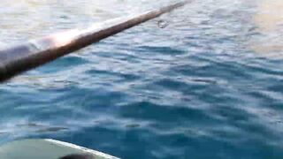 Гурзуф на воде - морская рыбалка на ставриду с лодки без суеты