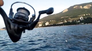 Гурзуф на воде - морская рыбалка на ставриду с лодки без суеты