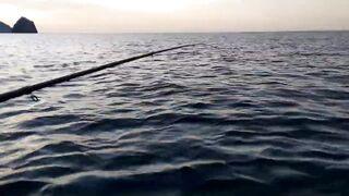 Гурзуф на воде - морская рыбалка на ставриду с лодки без суеты